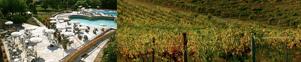 foto head quercia.jpg